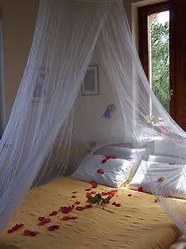 Frühstückspension Del Pino 3*