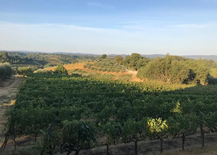 Frühstückspension Del Pino